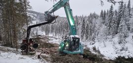 Grønn gravemaskin i skogen